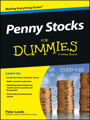 how to make money for dummies pdf
